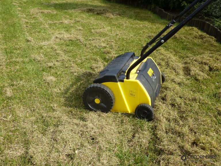 Ogród regeneracja trawnika trawnik pielęgnacja