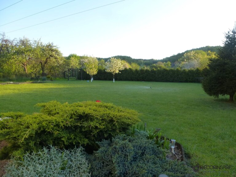 Ogród trawnik pielęgnacja wiosna