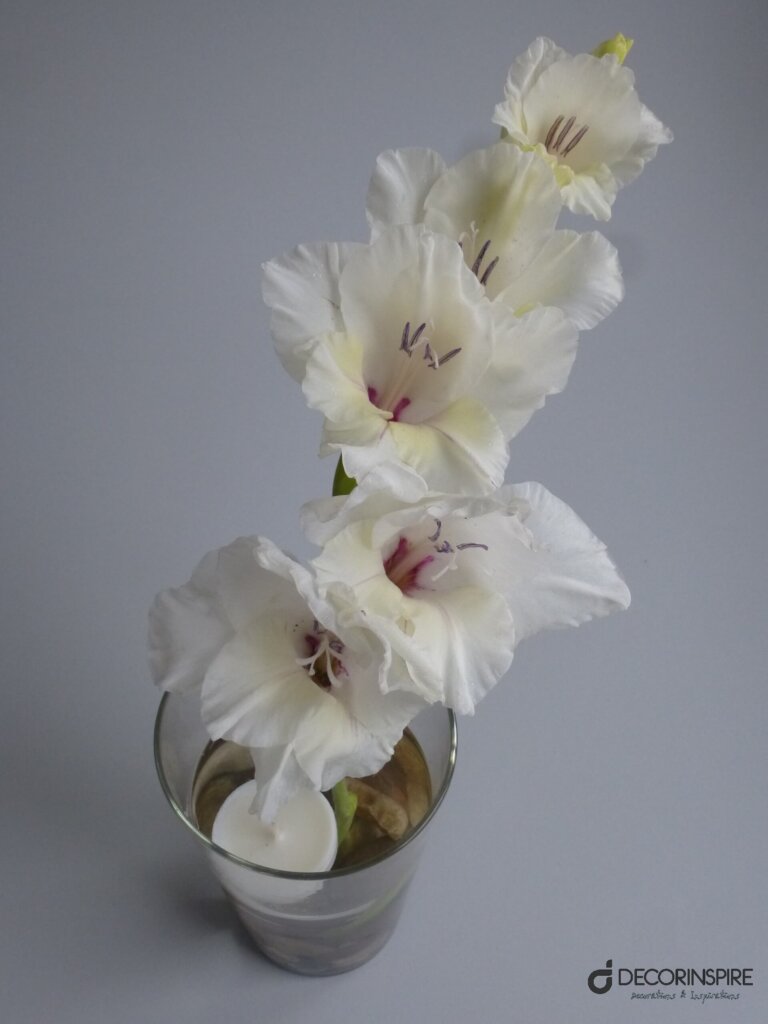 Dekoracje z kwiatów dekoracje z kwiatów kwiat w szkle