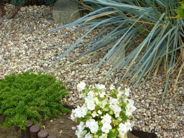 Ogród kamienie w ogrodzie kamyczki