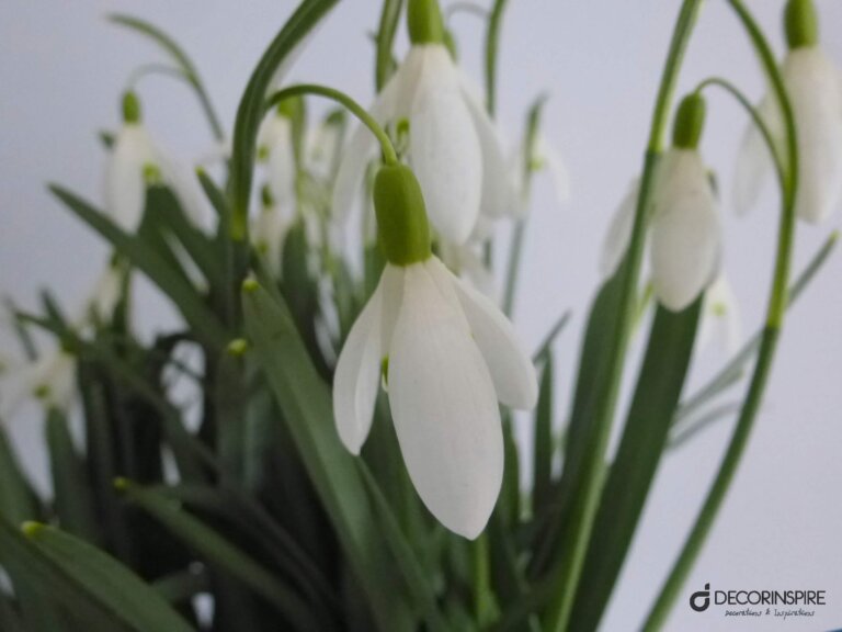 P1100678-1 Dekoracje na Wielkanoc Decorinspire