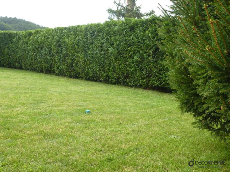 P1000403 Decorinspire