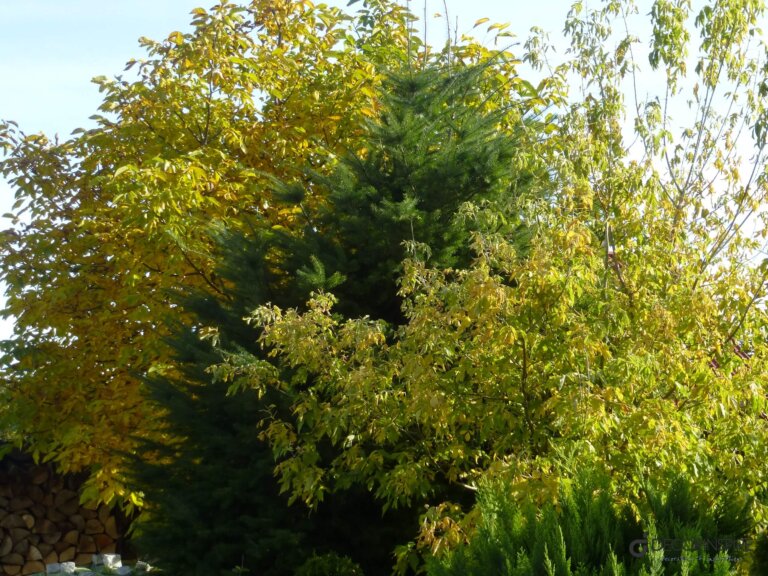 P1000477 Decorinspire