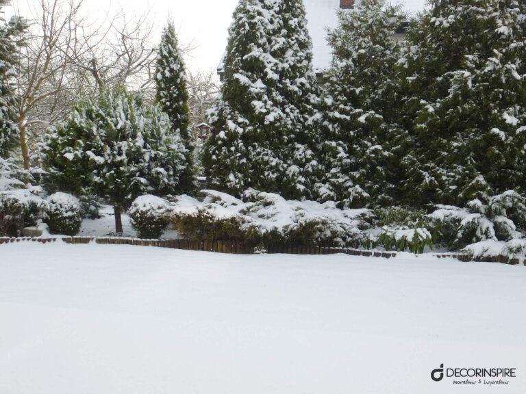 P1000855-1 Decorinspire