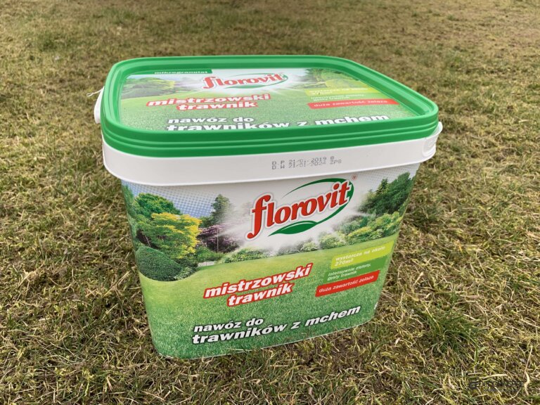 Inne dekoracje Decorinspire