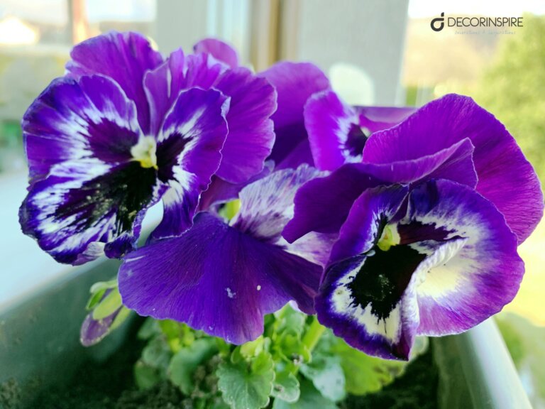 IMG_4542 Dekoracyjne pudełka Decorinspire