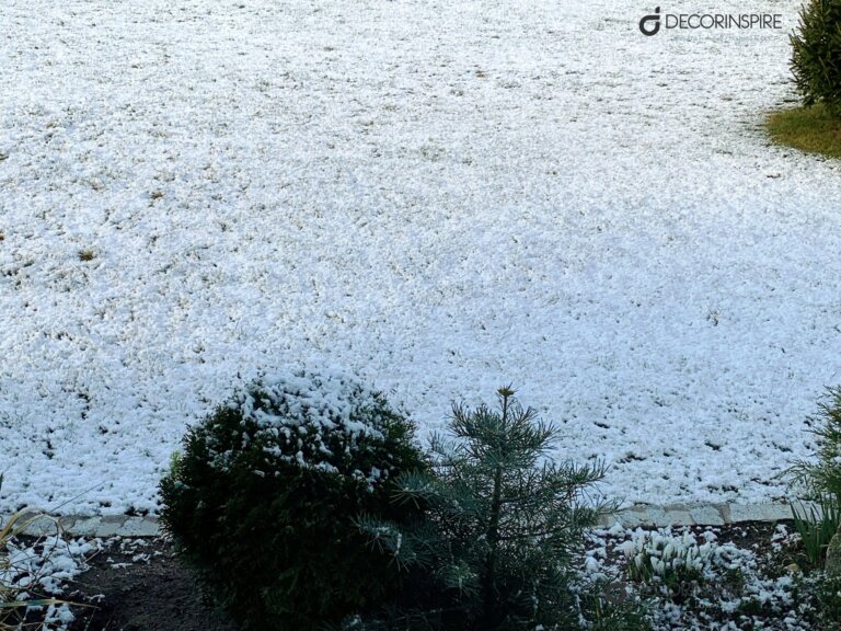 IMG_4582 Dekoracyjne pudełka Decorinspire